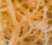raw sea moss image